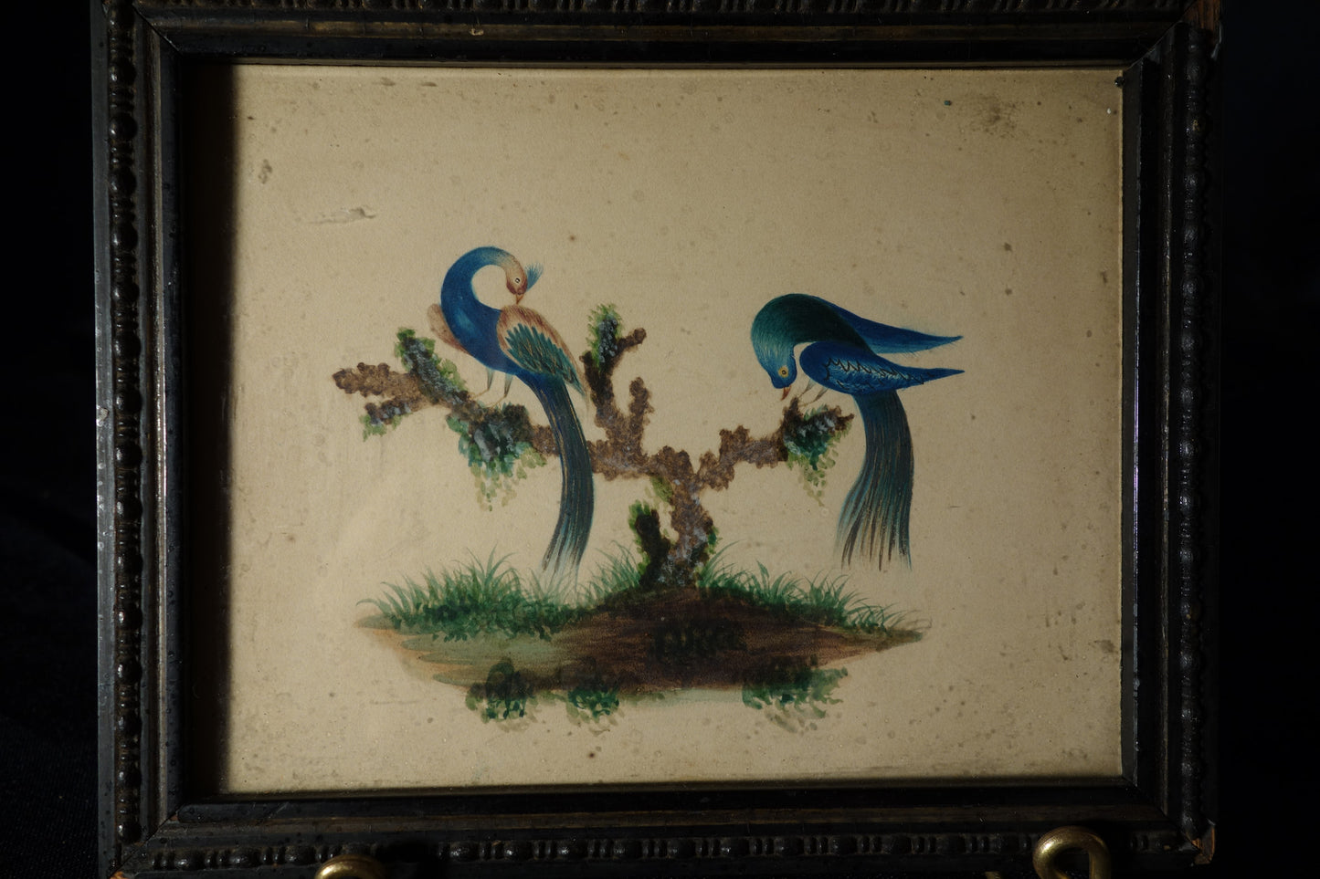 Drawing of Two Exotic Birds