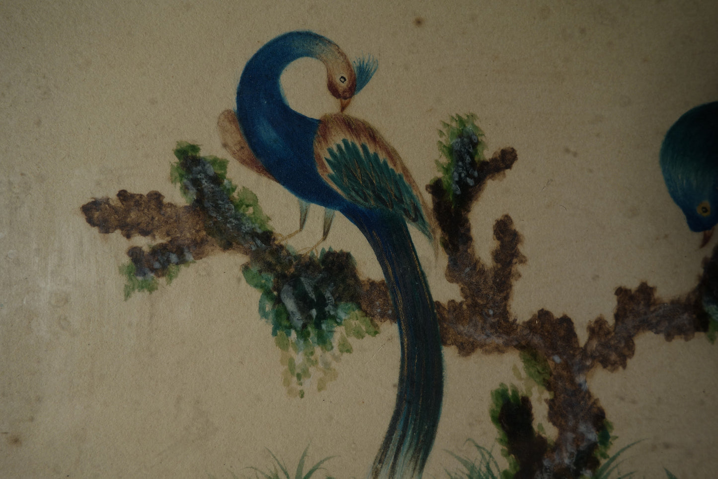 Drawing of Two Exotic Birds