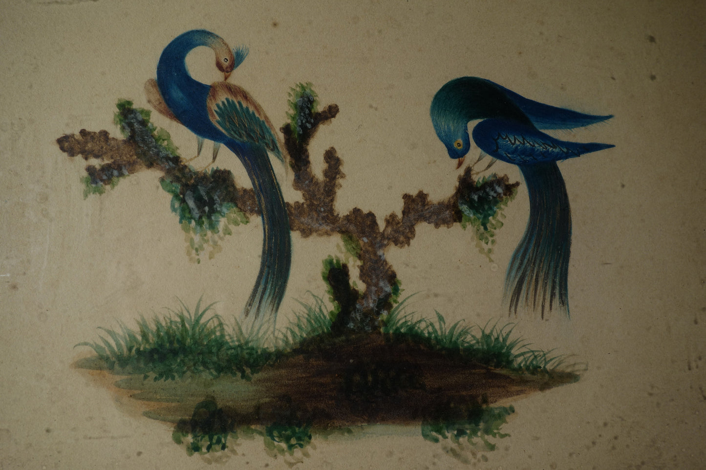 Drawing of Two Exotic Birds