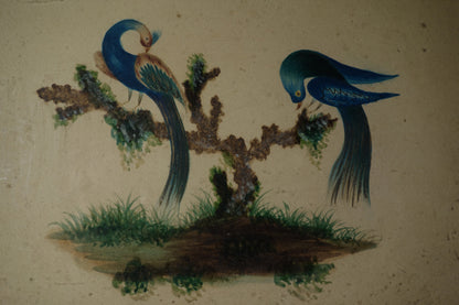 Drawing of Two Exotic Birds