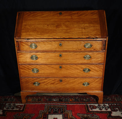 Wavy Birch Slant Front Desk