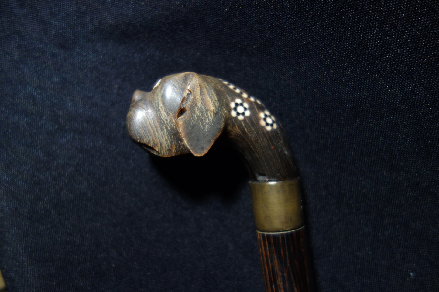 Carved Horn Dog Cane