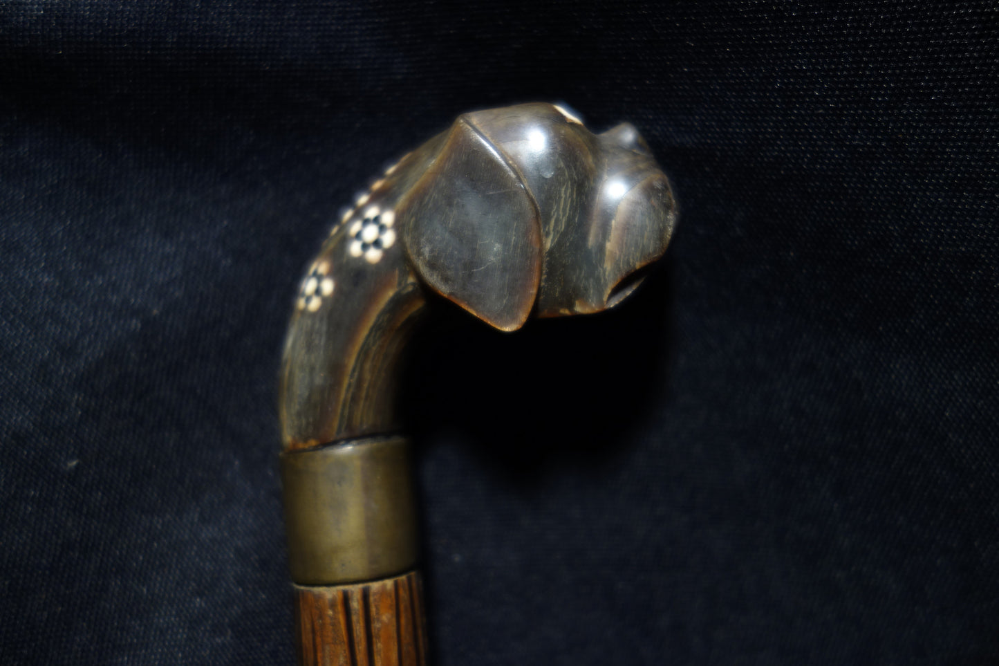 Carved Horn Dog Cane