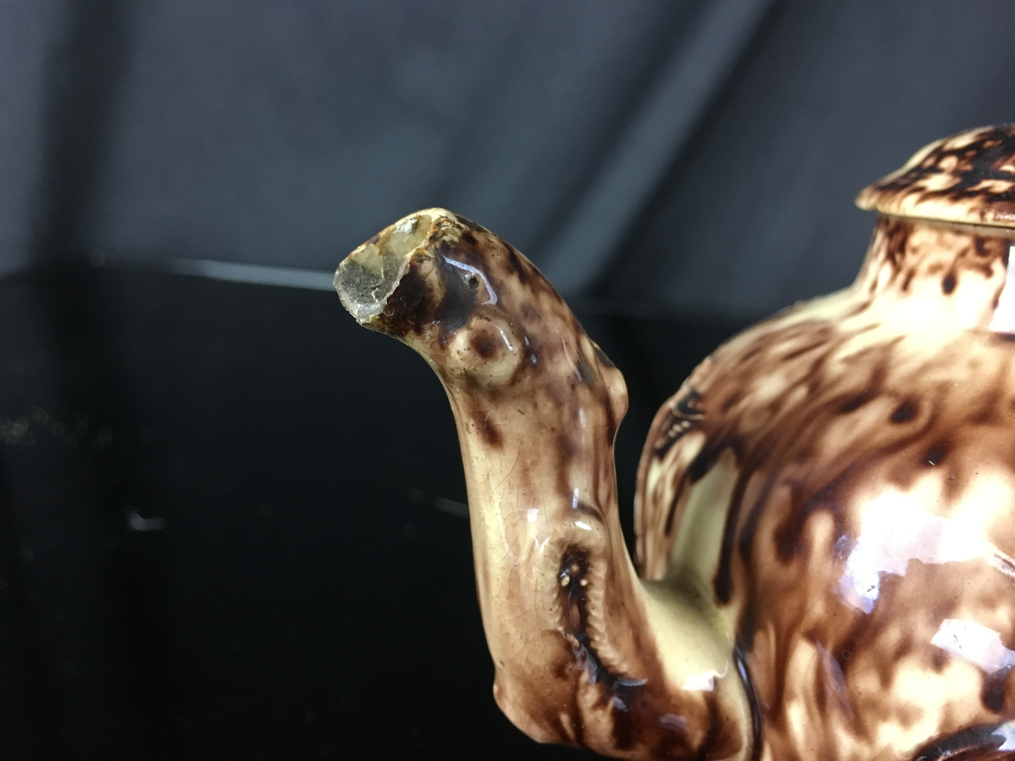 Tortoiseshell Liver Bird Teapot