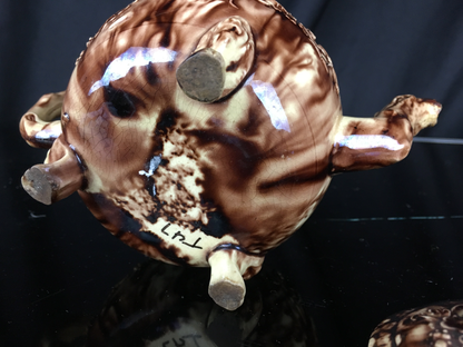 Tortoiseshell Liver Bird Teapot